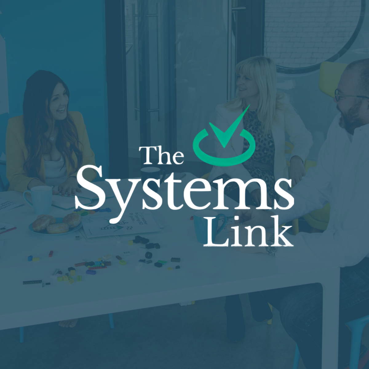 The Systems Link